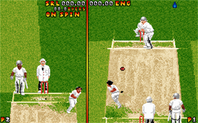 Ian Botham's Cricket - Screenshot - Gameplay Image