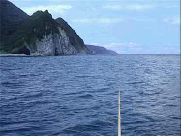 Reel Fishing II - Screenshot - Gameplay Image