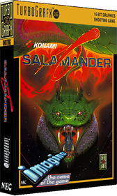 Salamander - Box - 3D Image