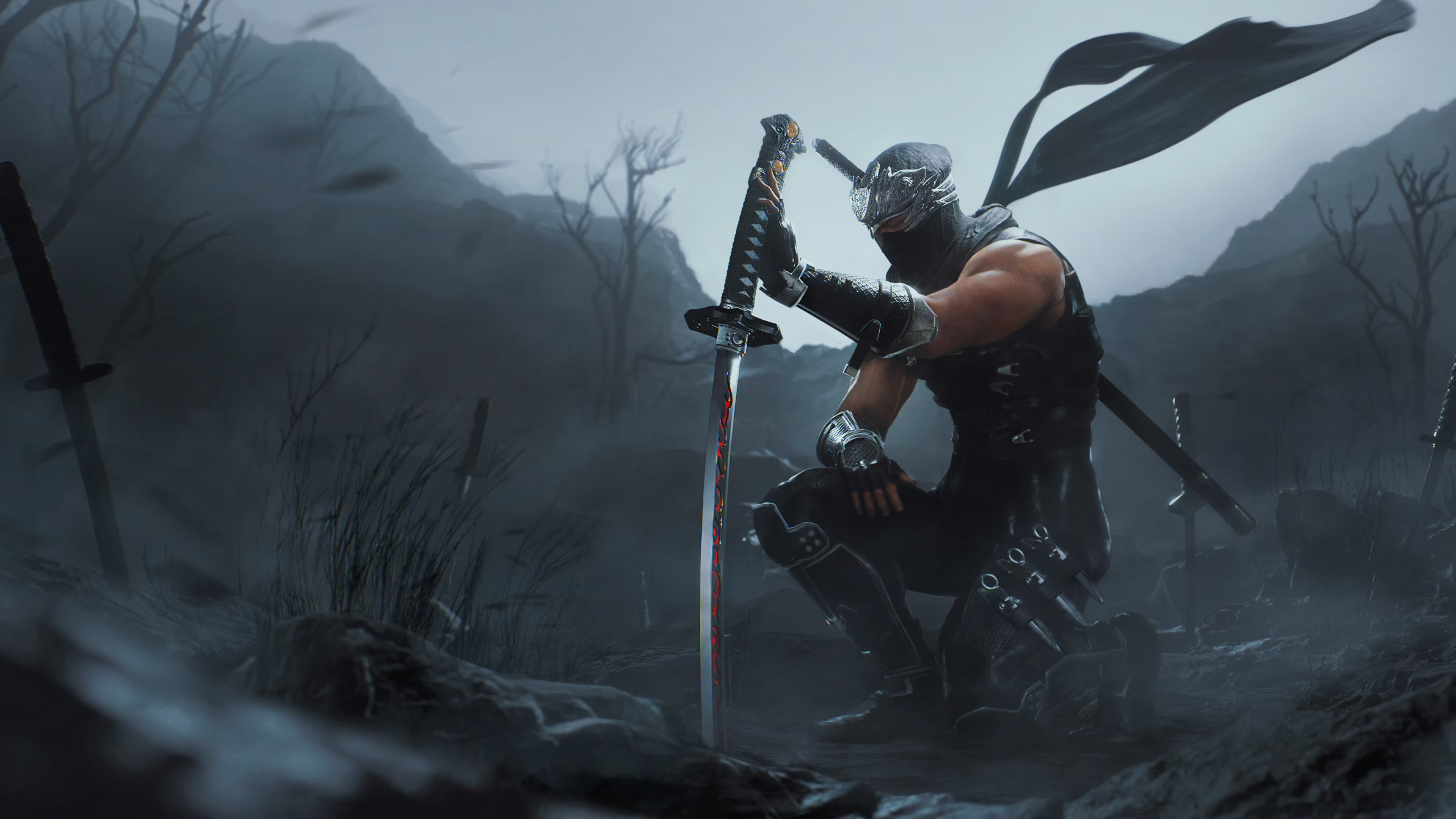 Ninja Gaiden II Black