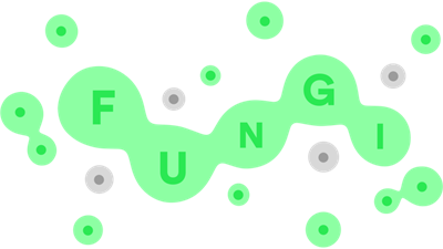 FUNGI - Clear Logo Image