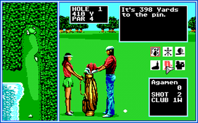 Tournament Golf - Screenshot - Gameplay Image