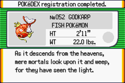 Pokémon Derp Emerald - Screenshot - Gameplay Image