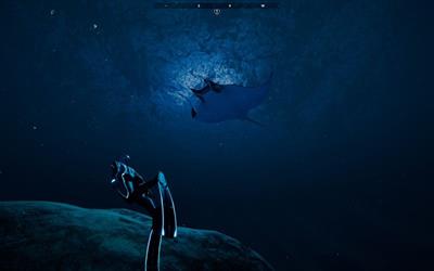 Beyond Blue - Screenshot - Gameplay Image