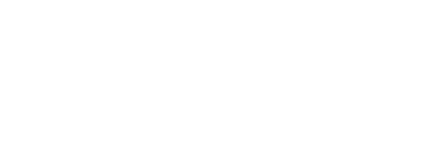 Luna - Clear Logo Image