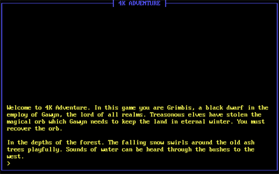 4K Adventure - Screenshot - Game Title Image