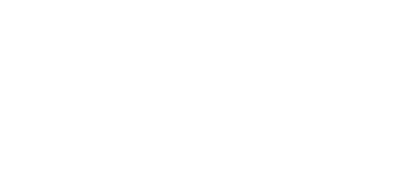 Where in the World is Carmen Sandiego? - Clear Logo Image