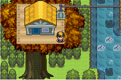 Pokémon Dark Realm - Screenshot - Gameplay Image