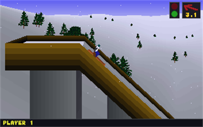 Deluxe Ski Jump - Screenshot - Gameplay Image