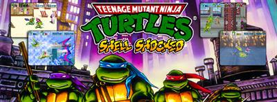 Teenage Mutant Ninja Turtles: Shell Shocked - Banner Image