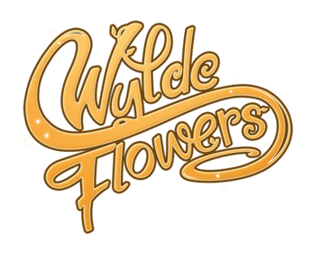 Wylde Flowers - Clear Logo Image