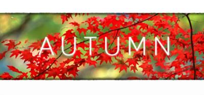 Autumn - Banner Image