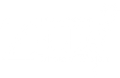 The Legend of Zelda: Echoes of Wisdom - Clear Logo Image