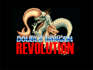 Double Dragon Revolution - Screenshot - Game Title Image