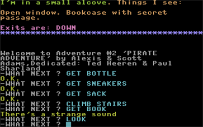 Pirate Adventure - Screenshot - Gameplay Image