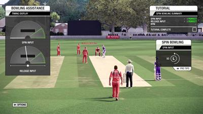 Don Bradman Cricket 14 - Screenshot - Gameplay Image