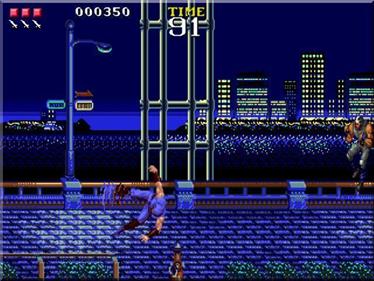 Ninja Gaiden - Screenshot - Gameplay