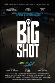 Big Shot - Advertisement Flyer - Front Image