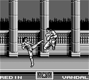 Raging Fighter - Screenshot - Gameplay Image