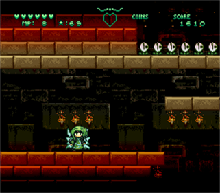 Super Wakana Land - Screenshot - Gameplay Image