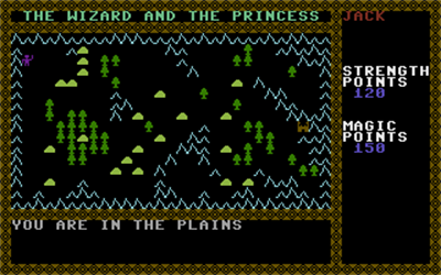 The Wizard & the Princess - Screenshot - Gameplay Image