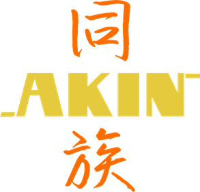 AKIN - Clear Logo Image