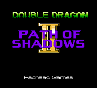 Double Dragon II: Path of Shadows - Screenshot - Game Title Image