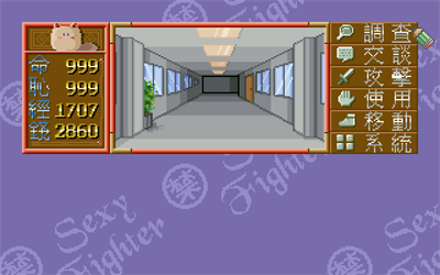 Sexy Fighter - Screenshot - Gameplay Image