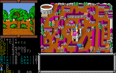 Hillsfar - Screenshot - Gameplay Image