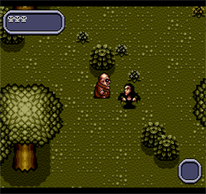 Addams Family Values - Screenshot - Gameplay Image