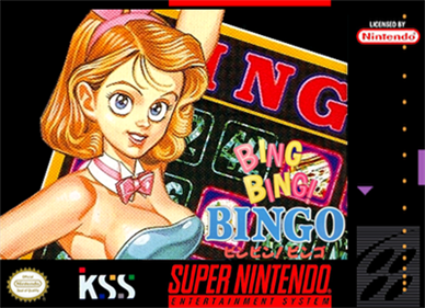 Bing Bing! Bingo - Fanart - Box - Front Image