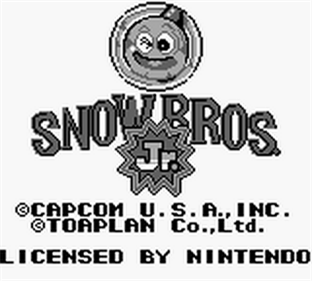 Snow Brothers - Screenshot - Game Title Image