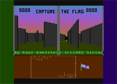 Capture the Flag - Screenshot - Gameplay Image