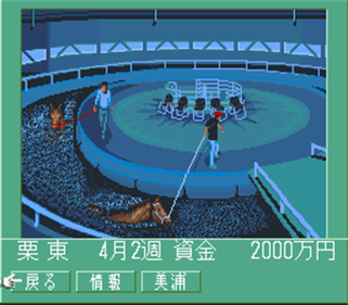Super Keiba - Screenshot - Gameplay Image