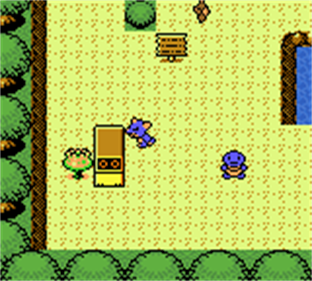 Pokémon Prism - Screenshot - Gameplay Image