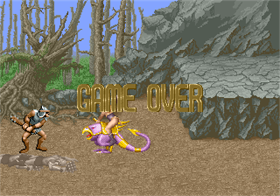 Golden Axe - Screenshot - Game Over Image