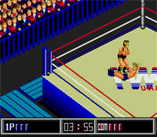 Thunder Pro Wrestling Retsuden - Screenshot - Gameplay Image
