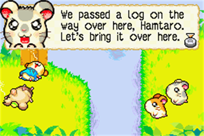 HamTaro: Rainbow Rescue - Screenshot - Gameplay Image