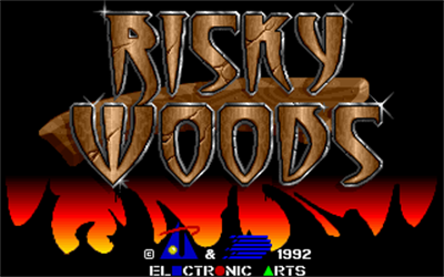 Risky Woods - Screenshot - Game Title Image