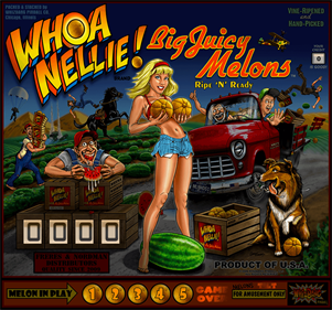 Whoa Nellie! Big Juicy Melons - Arcade - Marquee Image