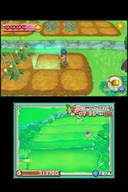 Harvest Moon 3D: A New Beginning - Screenshot - Gameplay Image