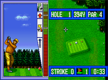 Top Player's Golf - Screenshot - Gameplay Image