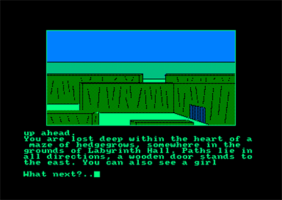 Labyrinth Hall - Screenshot - Gameplay Image