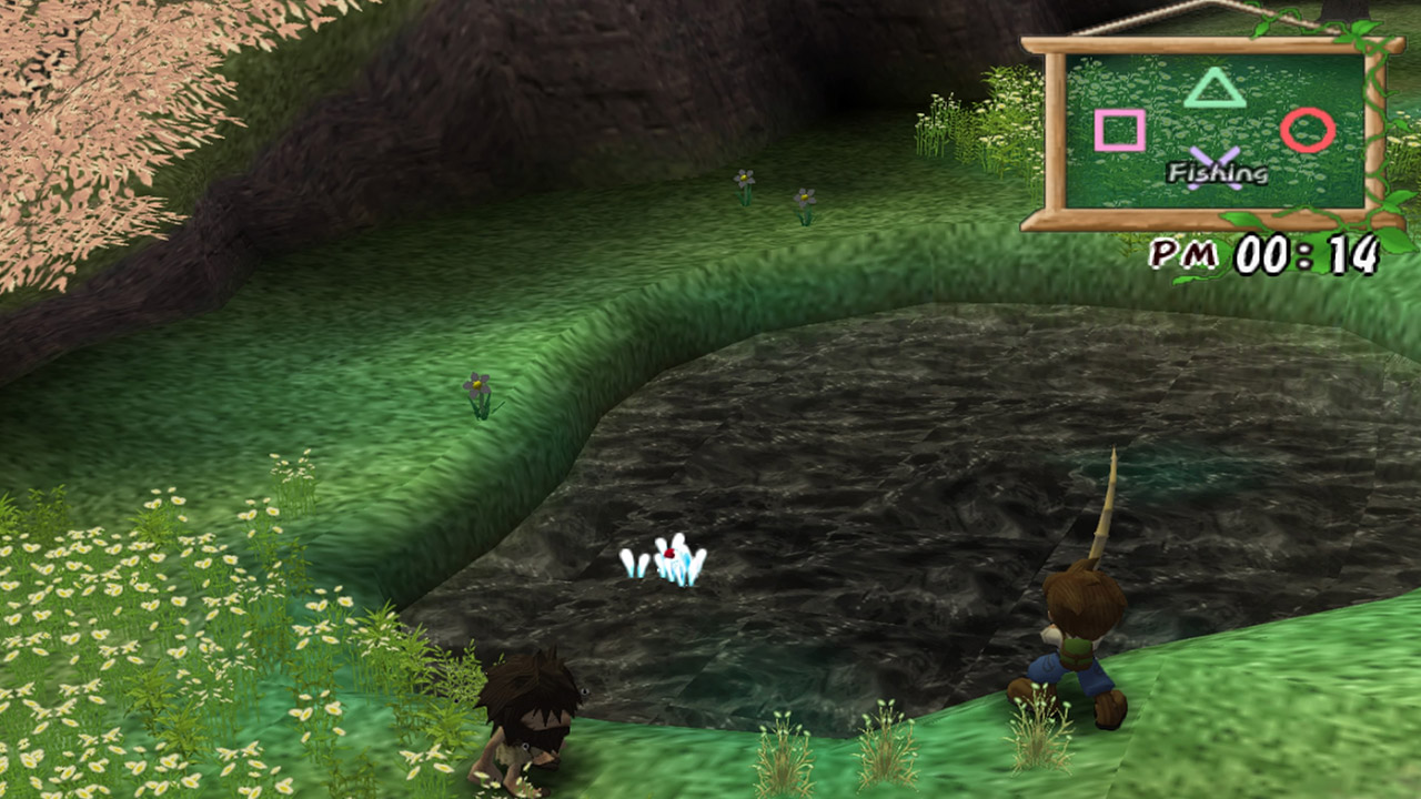 Harvest Moon: A Wonderful Life Special Edition
