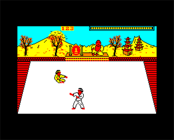 Karate Combat - Screenshot - Gameplay Image