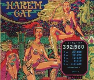 Harem Cat - Arcade - Marquee Image