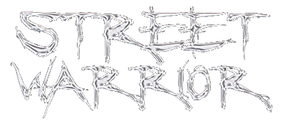Street Warrior - Clear Logo Image