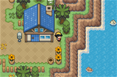 Pokémon Saffron - Screenshot - Gameplay Image