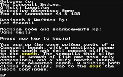 The Cornwall Enigma - Screenshot - Gameplay Image