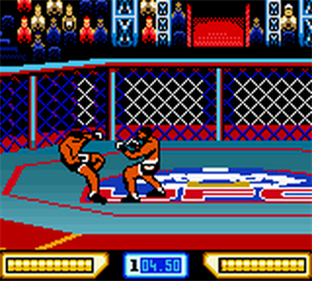 Ultimate Fighting Championship - Screenshot - Gameplay Image